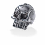 Walt's Skull